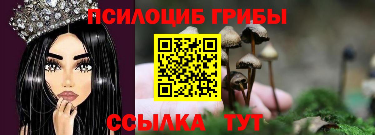 Галлюциногенные грибы Psilocybine cubensis  Псилоцибиновые грибы прущие грибы  Кемерово  Вход с VPN 